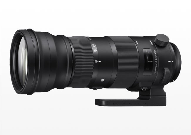 Kiralık Sigma 150-600mm f/5-6.3 DG OS HSM Sports Lens
