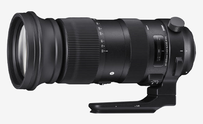 Sigma 60-600mm f/4.5-6.3 Lens Detay