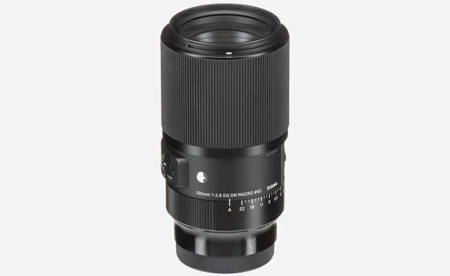 Sigma 105mm Macro Art Lens (E) Detay