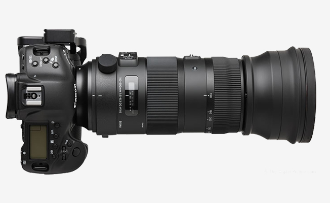 Sigma 150-600mm f/5-6.3 Lens  Detay